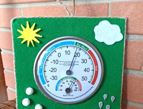 Termometro e Igrometro “Che tempo fa”