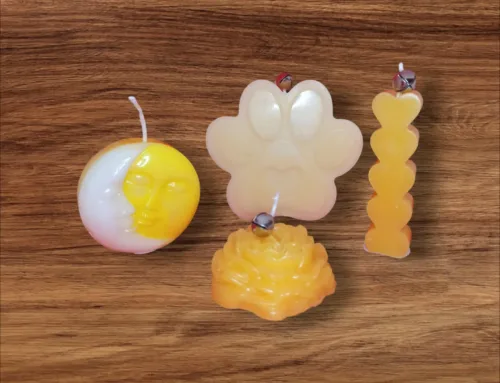 Candele in cera d’api