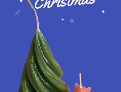 Candele in cera di soia